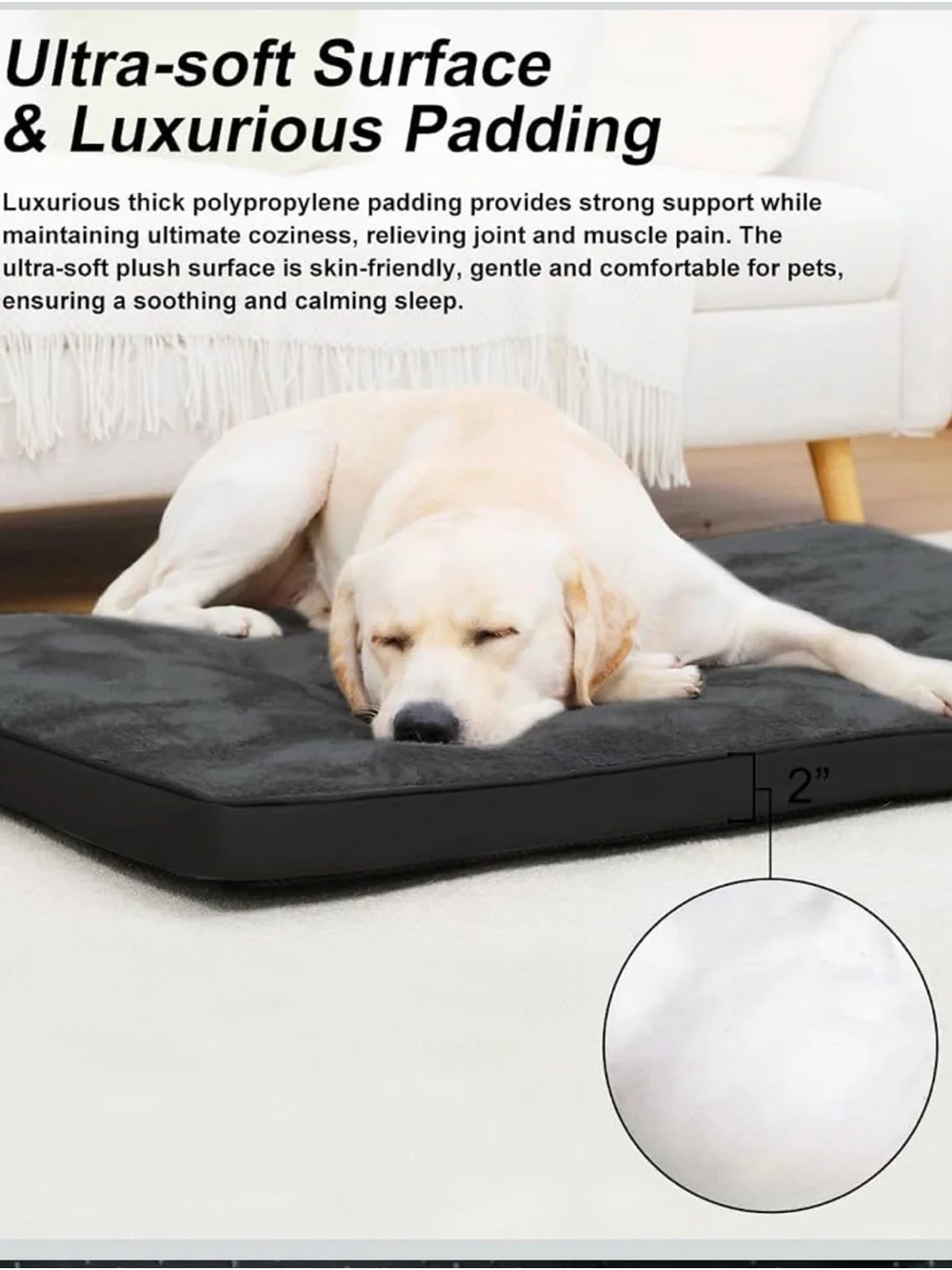 N/A dog crate